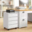 Taliyha 46cm Wide 4 -Drawer File Cabinet-299602184