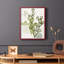 Coral Blockprint I, reproduction encadrée - bois massif-1759511613-1759511609