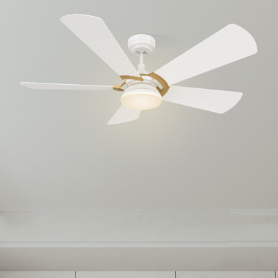 Amonnie 52'' Ceiling Fan with LED Lights