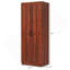 Pantry Cabinet With Adjustable Shelves, Doors-1679357987