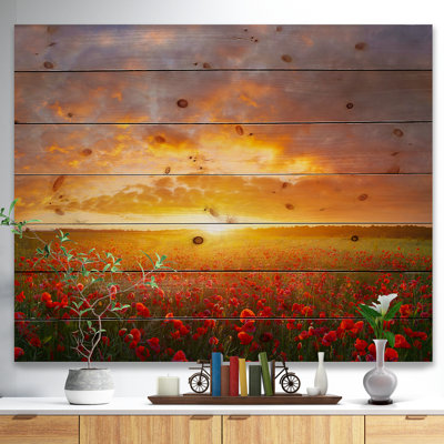 " Poppy Field Under Bright Sunset "