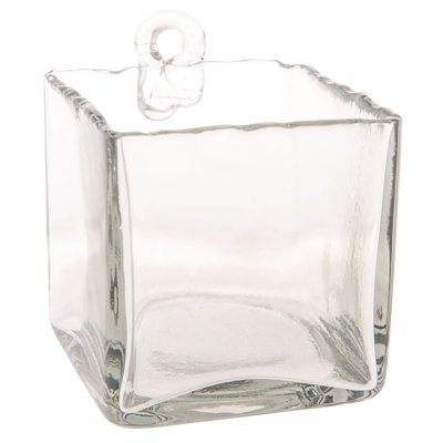 HAND BLOWN HANGING GLASS VASE (S20)