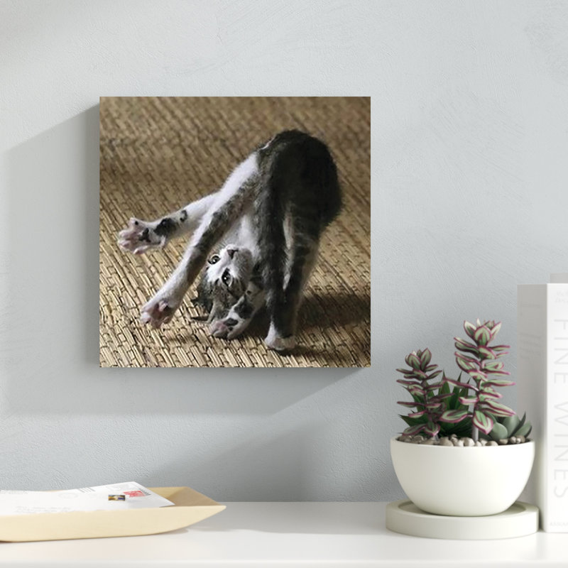 Cat Yoga IV, H 12 po x l 12 po