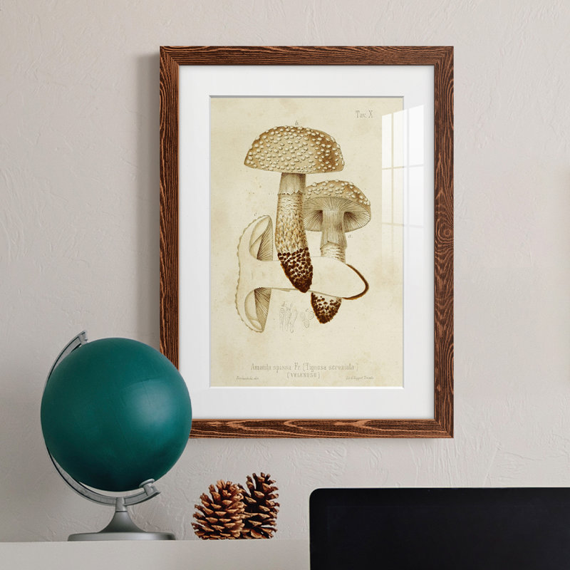 Cadre Mushroom Variétés de qualité supérieure matte - prêt à accrocher, Érable, H 44 po x l 31 po x P 1 po