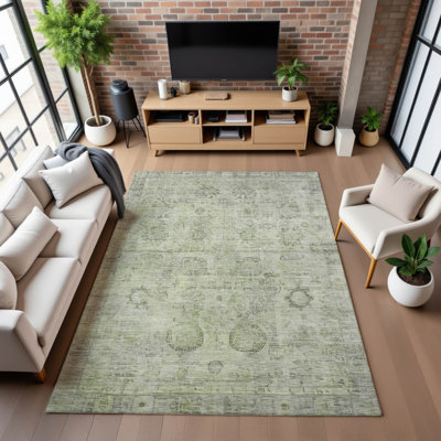 Premium Machine Washable Verlin AMF1769 Border Rug