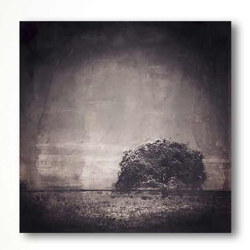 Java Tree 1 Piece Wrapped Canvas Wall Art, 91cm H x 91cm W x 3cm D
