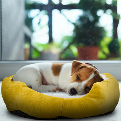 Cage robuste pour animaux vivants - 31 x 12 x 11 pouces, pliable, déclencheur sensible, portable