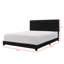 Lit tapissier standard à profil bas Hazelynn-1580503290-1583707016