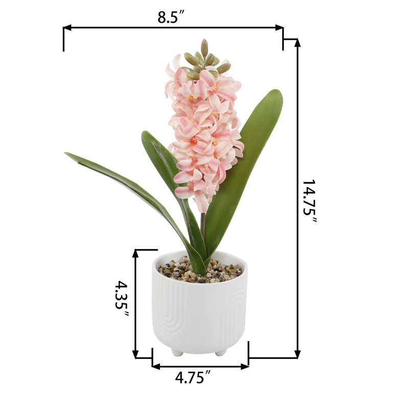 Centre de table Hyacinth en pot