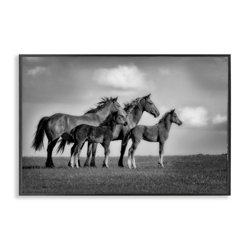 «Babies On Board Horse Family», estampe numérique, design par Wendy Caro, H 12 po x l 18 po, Giclée encadrée noir minuit