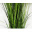 130cm Faux Onion Grass Plant in Metal Planter-1524487880