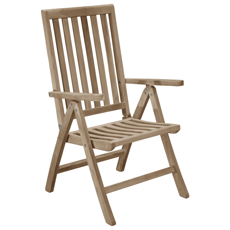 Baek Folding Patio Dining Armchair with Cushion