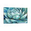 Cerulean Succulent by Nan - Wrapped Canvas Painting-614569733