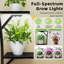 Support pour plante 63,39 po Wert-171439071