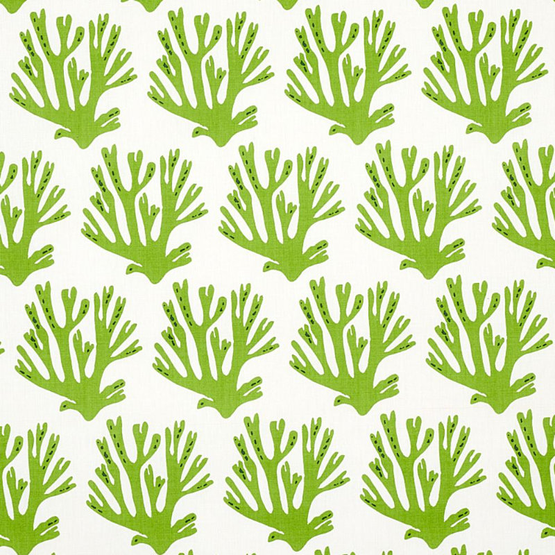 Tissu corail Schumacher x Molly Mahon, Vert