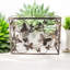 102cm Glass Top Console Table