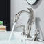 Widespread 2-handle Bathroom Faucet
