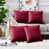 Red Burgundy