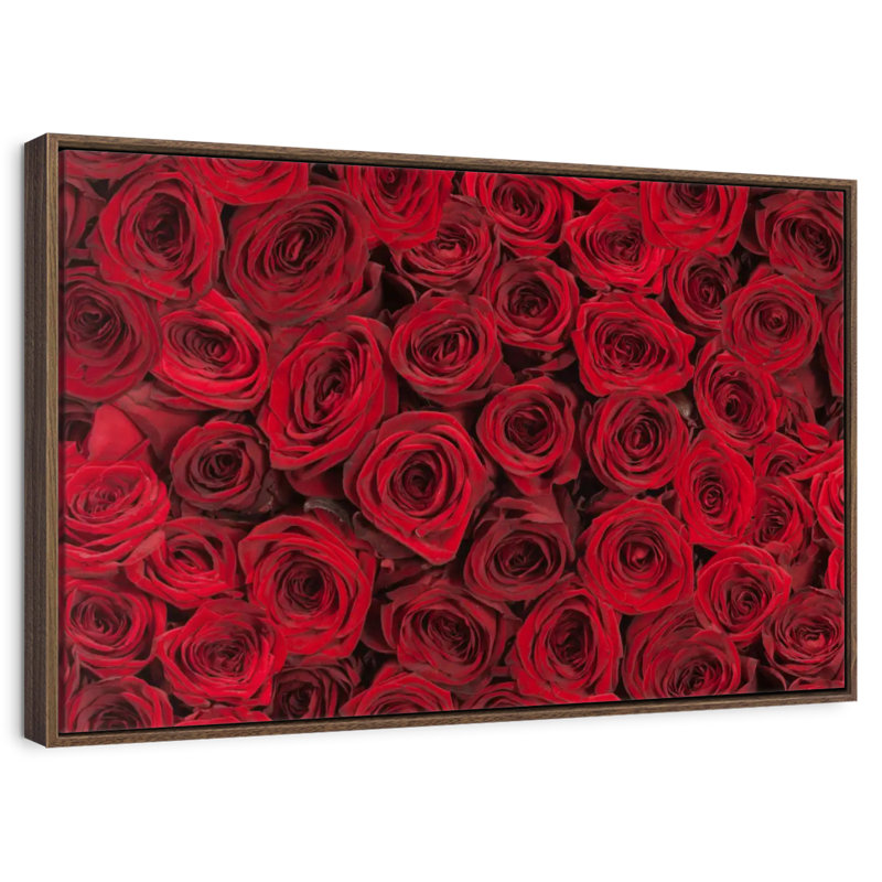 Roses rouges d'été, Cadre flottant noyer, 31 po x 21 po