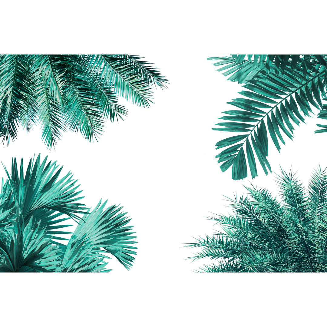 Different Tropical Jungle Palm Leaf Isolated by Pernsanitfoto - Wrapped Canvas Print