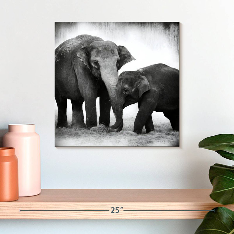 Crowle Elephant BW II