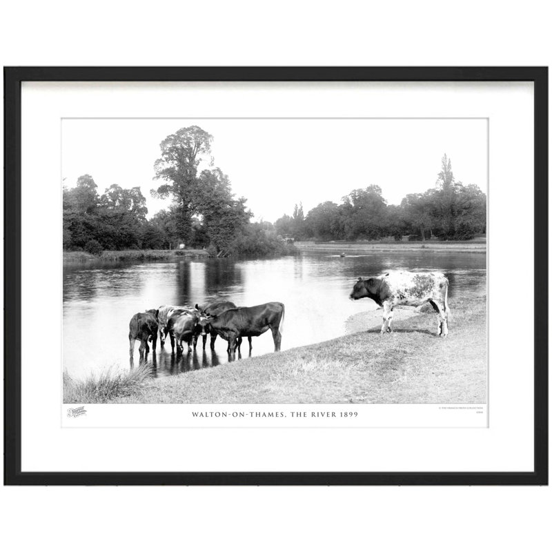 Walton-on-Thames, The River 1899 by Francis Frith - Single Picture Frame Print, 28cm H x 36cm W x 2.3cm D