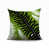 Chartreuse
