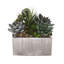 Faux Succulent in Square Etched Pot-1616115215
