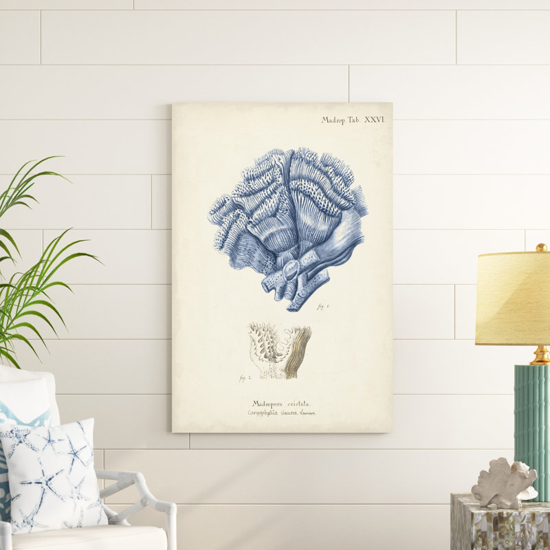 Corail antique en bleu marine II, H 48 po x l 32 po x P 1,25 po