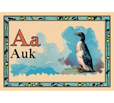 " Auk "