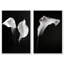 Calla Lily Set Set by Oliver Gal-715087360-715087365