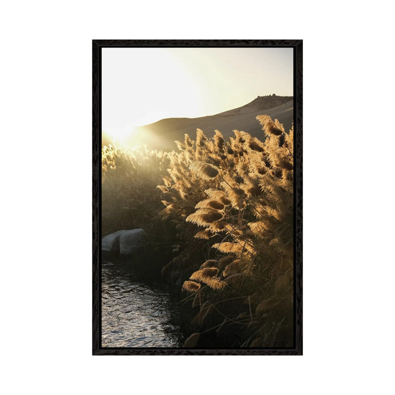 Nile Whisper by Gilliard Bressan - Gallery-Wrapped Canvas Giclée on Canvas, Black Framed, 101.6 cm H x 66.04 cm W