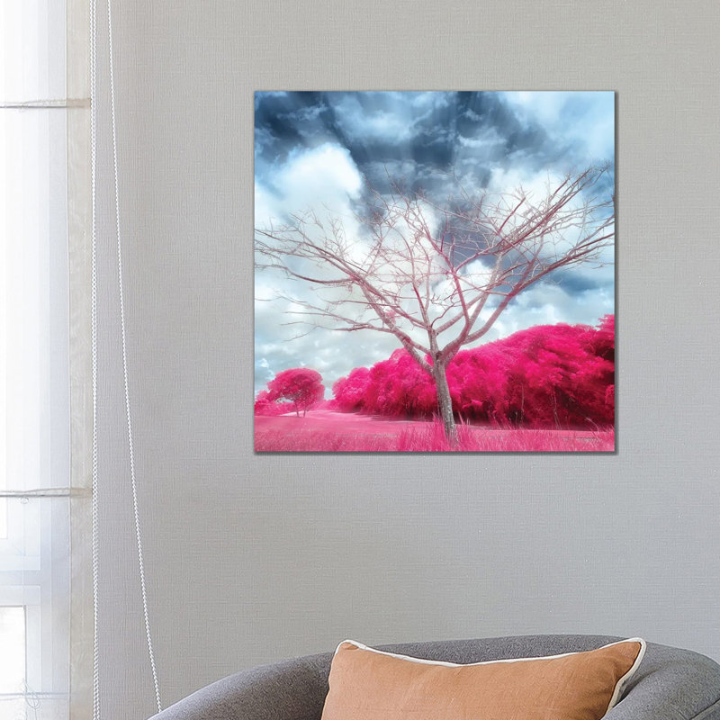 Pygmybirch by Glauco Meneghelli - Wrapped Canvas Painting, 66.04 cm H x 66.04 cm W x 1.91 cm D