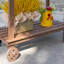 Banc de rempotage en bois de 36 po de couleur brun avec évier, tiroir, grand rangement et 2 roues mobiles