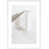 White Framed