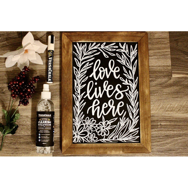 VersaChalk Chalkboard & Whiteboard Cleaning Kit, 250ml