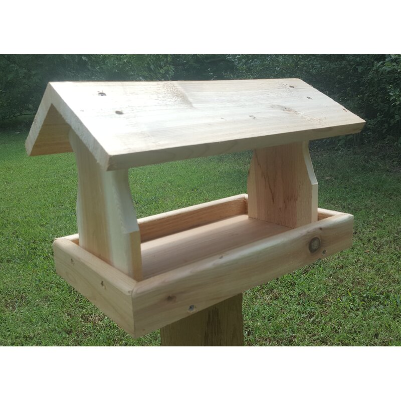 Tucker Murphy Pet™ Verlyn Tray Bird Feeder | Wayfair