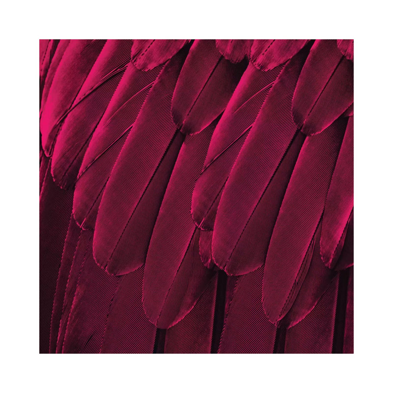 Feathered Friend In Magenta by Julia Bosco - No Frame Gallery-Wrapped Canvas Giclée on Canvas, 30.48cm H x 30.48cm W