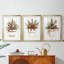 Art des Fêtes de Noël Cxxix-693727489-693727498