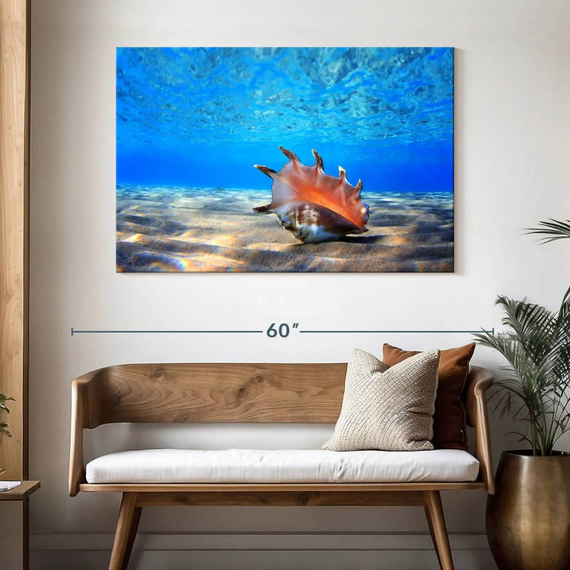 Seashell treasure Aletra, H 32 po x l 48 po