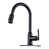 Oil Rubbed Bronze