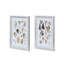 Seashell Collection Prints