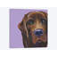 «Brown Labrador On Lilac, Square» par Kirstin Wood, impression sur toile-31919037-73561483-73561484