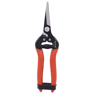 Outils de jardinage droits