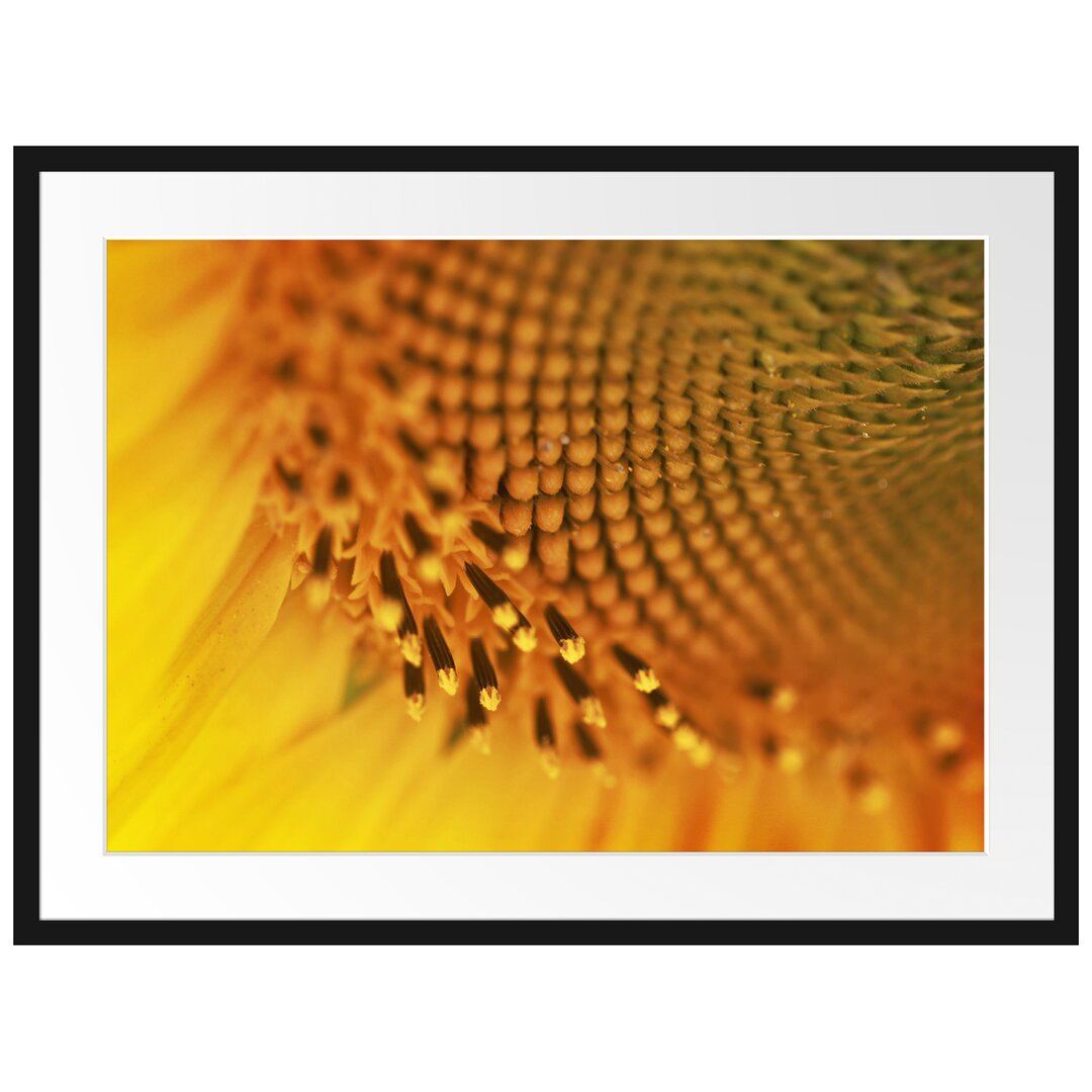 Gerahmtes Poster Wunderschöne gelbe Sonnenblume