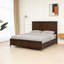 Meuble de chambre à coucher de style transitionnel de style très grand avec 1 lit en cerisier foncé et pieds en plaqué or-1546749942