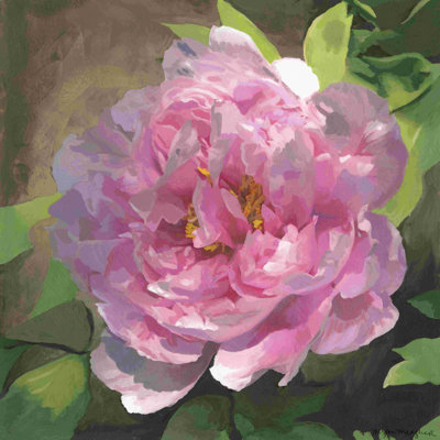 Pivoine rose I