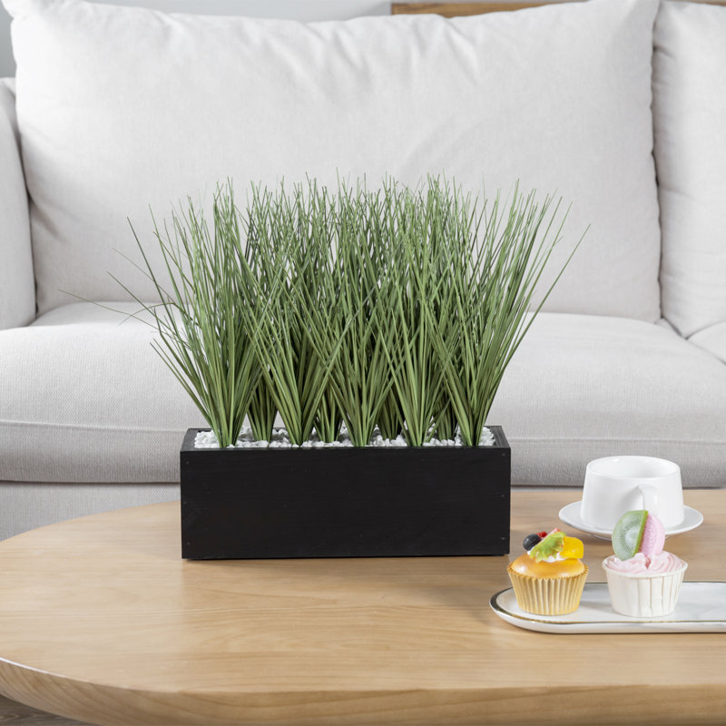 Faux Onion Grass Grass in Solid Wood Planter, Black, 35 cm H x 30.1 cm W x 10.1 cm D