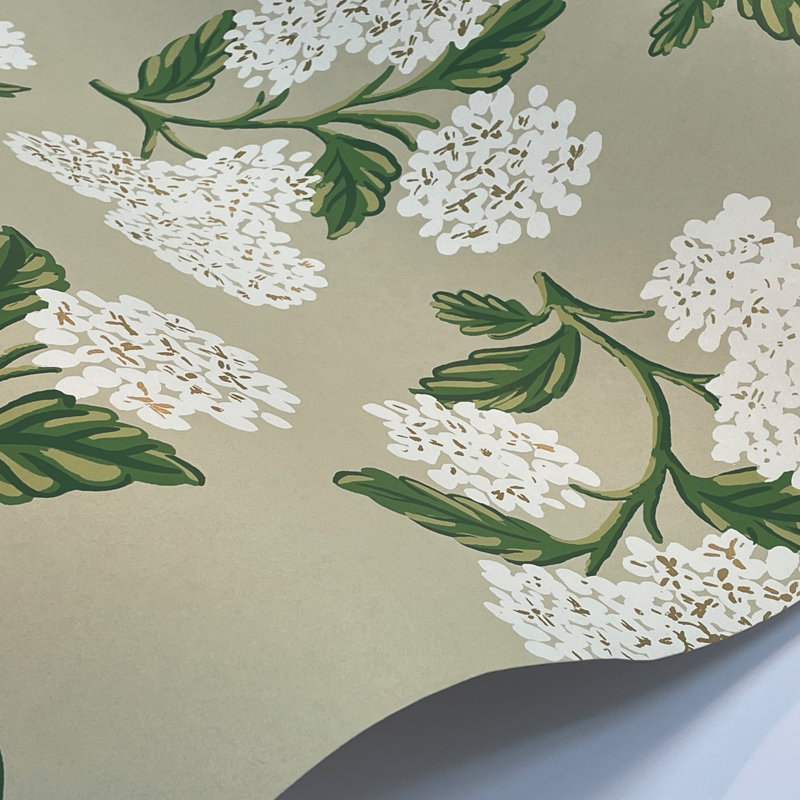 Papier peint 27 'x 27 "Hydrangea, Beige