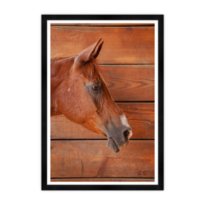 Horse Portrait I Print